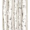 Picture of Pioneer Off-White Birch Tree Wallpaper