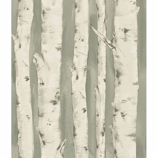Picture of Pioneer Sage Birch Tree Wallpaper