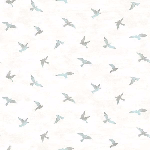 Picture of Soar Turquoise Bird Wallpaper