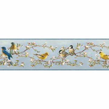 Show details for Songbird Multicolor Floral Trail Border
