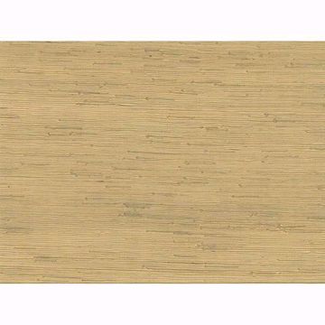 Show details for Shan Light Green Grasscloth
