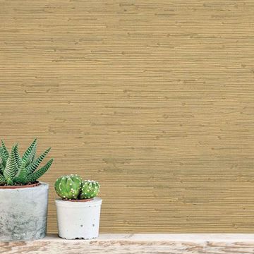 Show details for Shan Light Green Grasscloth