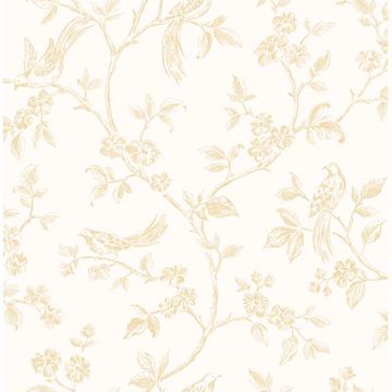 Picture of Ray Light Yellow Bird Trail Wallpaper