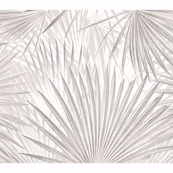 26 Macduff Silver Palm Fronds Wallpaper By Advantage