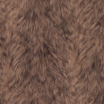 Picture of Trieste Brown Wolf Wallpaper
