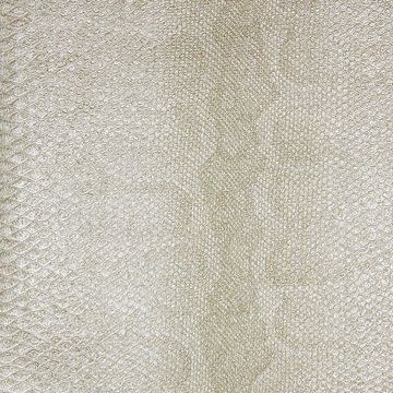 Picture of Sovana Cream Python Wallpaper