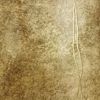 Picture of Matera Copper Fur Line Wallpaper