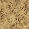 Picture of Umbria Copper Jaguar Wallpaper