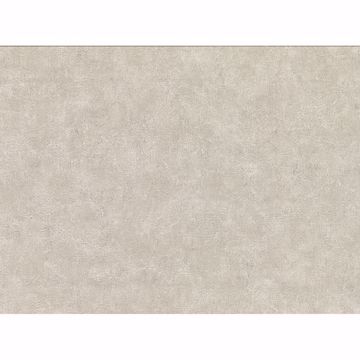 Picture of Clegane Bone Plaster Texture Wallpaper