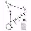 Picture of Pisces Wall Art Kit