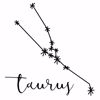 Picture of Taurus Wall Art Kit