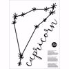 Picture of Capricorn Wall Art Kit