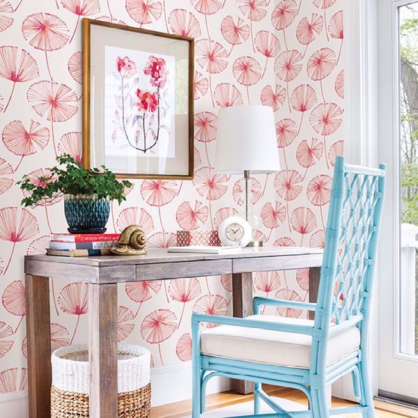 Picture for category Catalina