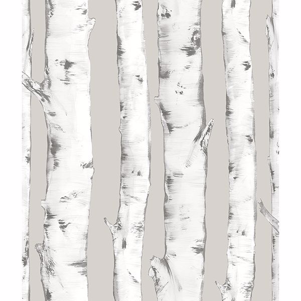 NHS3196 - Downy Birch Peel & Stick Wallpaper - by InHome