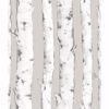 Picture of Downy Birch Peel & Stick Wallpaper