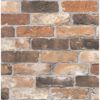 Picture of Reclaimed Bricks Orange Rustic 