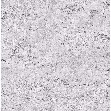Picture of Concrete Rough Light Grey Industrial 