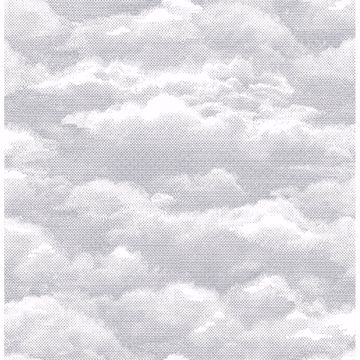 Picture of Solstice Dove Cloud Wallpaper 