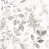 Picture of Gossamer Grey Botanical Wallpaper 
