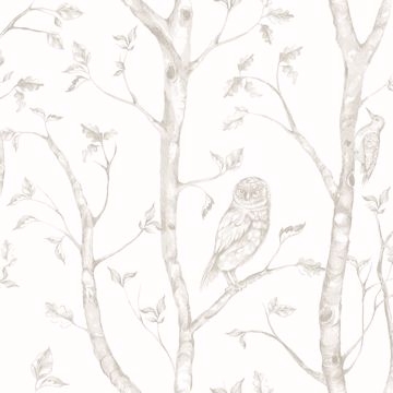 Picture of Neptune Taupe Forest Wallpaper 