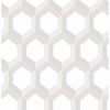 Picture of Hex Neutral Geometric Wallpaper 