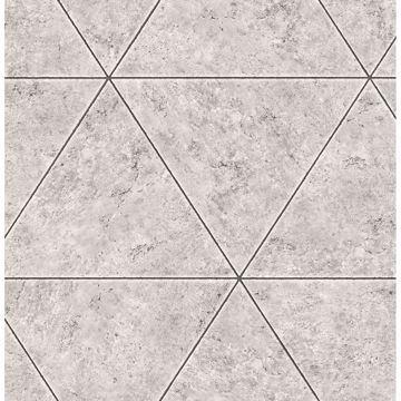 Picture of Polished Concrete Grey Geometric Wallpaper 