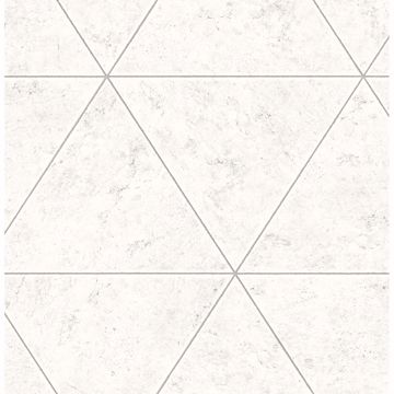 Picture of Polished Concrete Silver Geometric Wallpaper 