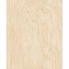 Picture of Bentham Neutral Plywood Wallpaper 
