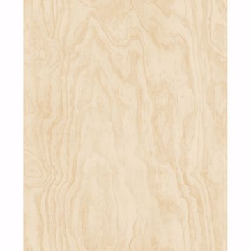 Picture of Bentham Neutral Plywood Wallpaper 