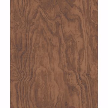 Picture of Bentham Brown Plywood Wallpaper 