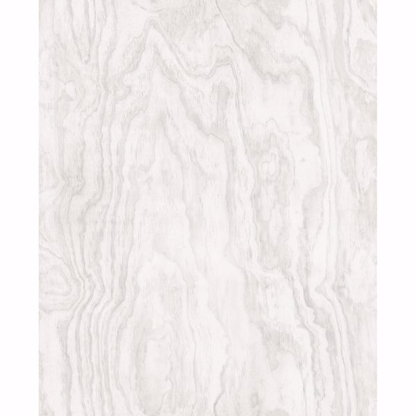 Picture of Bentham Dove Plywood Wallpaper 