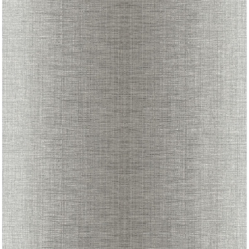 Picture of Stardust Grey Ombre Wallpaper