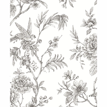 Picture of Jessamine Grey Floral Trail Wallpaper 