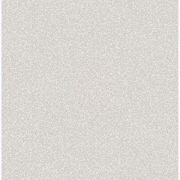 Picture of Twinkle Grey Texture Wallpaper 