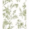 Picture of Jessamine Green Floral Trail Wallpaper 