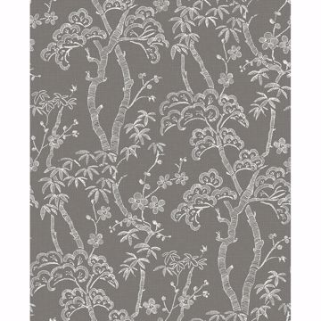 Picture of Bonsai Grey Tree Wallpaper 