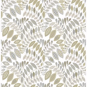 Picture of Fiddlehead Grey Botanical Wallpaper