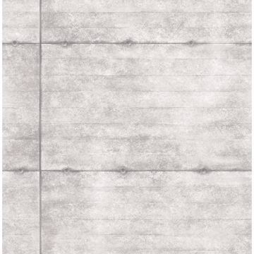 Picture of Reuther Grey Smooth Concrete Wallpaper