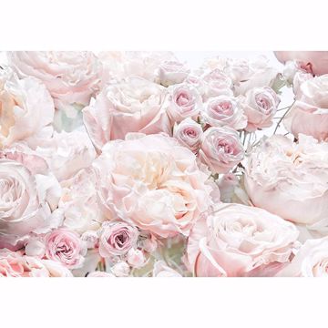 Show details for Spring Roses Wall Mural