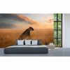 Picture of Lioness Non Woven Wall Mural