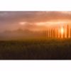 Picture of Tuscany Sun Rising Non Woven Wall Mural