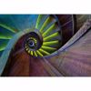 Picture of Spiral Staircase Non Woven Wall Mural