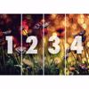 Picture of Flowers And Lights Non Woven Wall Mural