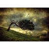 Picture of Scary Vintage Tree Non Woven Wall Mural