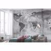 Picture of Concrete World Map Wall Mural
