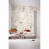 Picture of Sheer Leaves Wall Mural