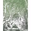Picture of Graphite Whimsical Trees Wall Mural