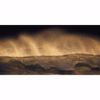 Picture of Golden Wave Wall Mural
