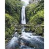 Picture of Glenevin Falls Wall Mural
