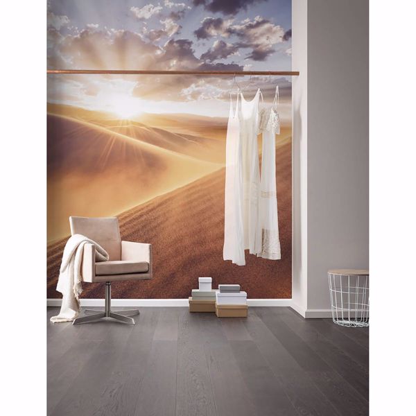 Picture of Sunrise Sanddune Wall Mural